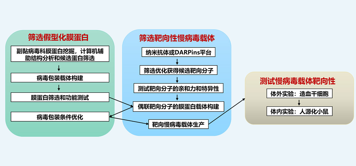 TarVAb靶向载体研发平台