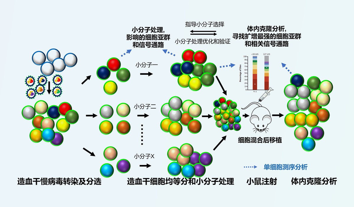 MAVBaT工艺优化平台